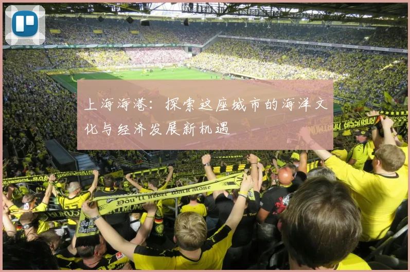 上海海港：探索这座城市的海洋文化与经济发展新机遇