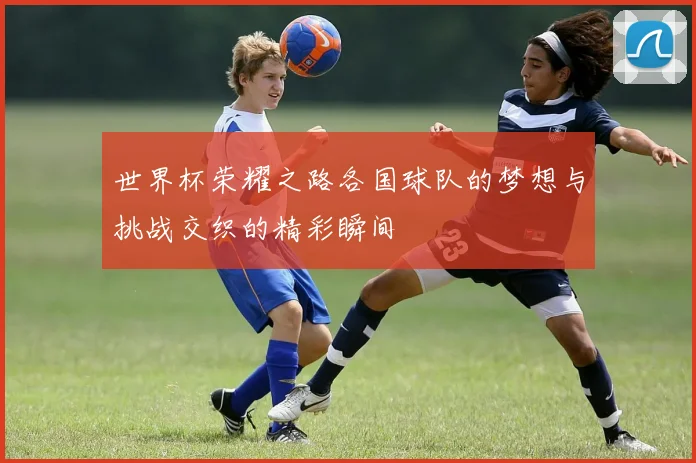 世界杯荣耀之路各国球队的梦想与挑战交织的精彩瞬间