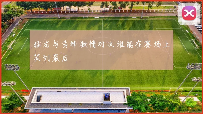 猛龙与黄蜂激情对决谁能在赛场上笑到最后