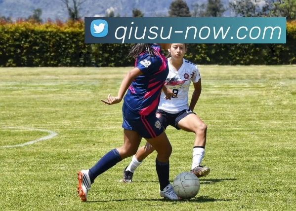 球速体育APP 封面图